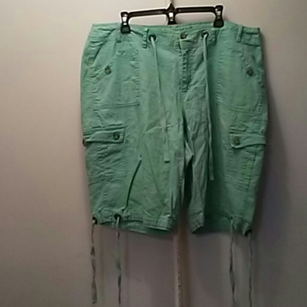 Venezia Shorts size 20